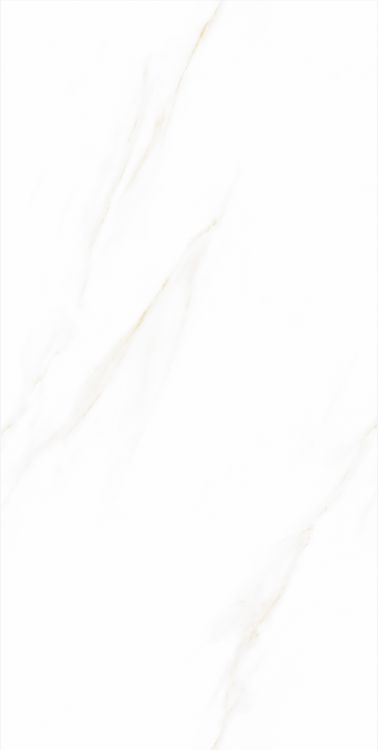 Time Cielo Matte 24 x 48